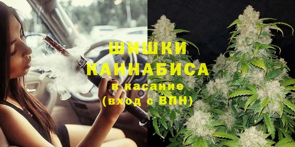 молекула духа Пестово