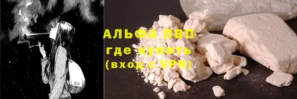 прущие грибы Покачи