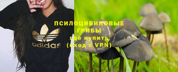 молекула духа Пестово