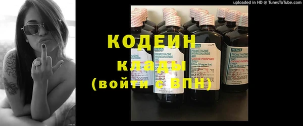 молекула духа Пестово
