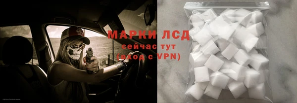 прущие грибы Покачи