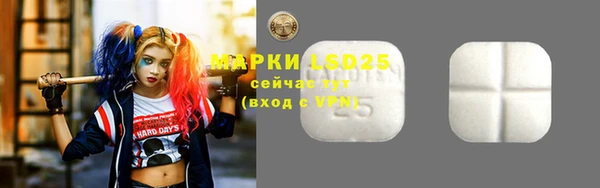 молекула духа Пестово