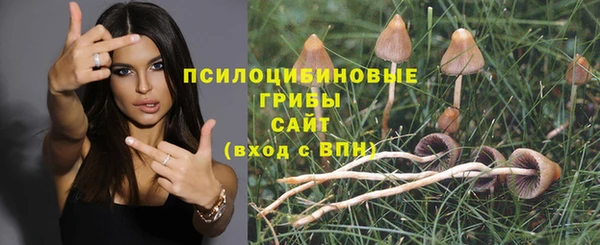 прущие грибы Покачи