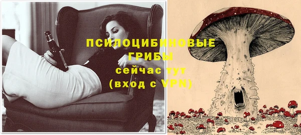 мяу мяу мука Пересвет