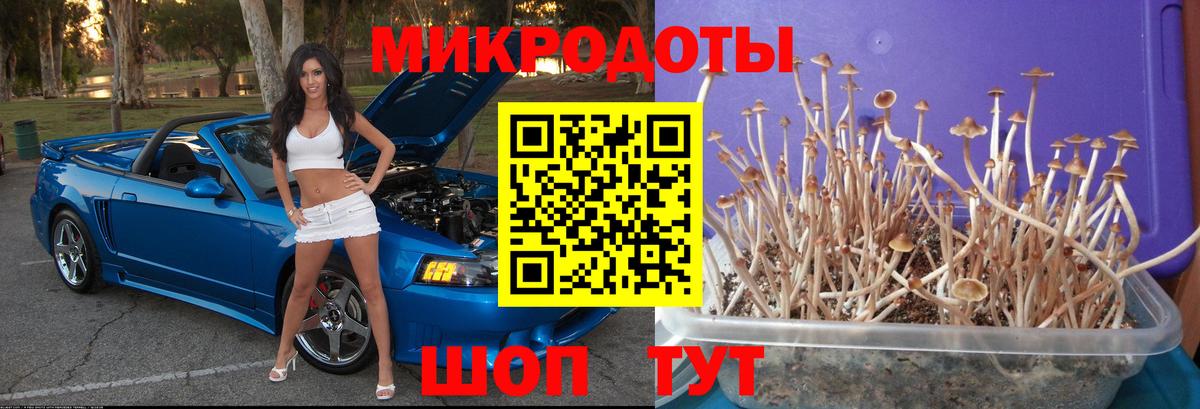 Галлюциногенные грибы Cubensis Сердобск